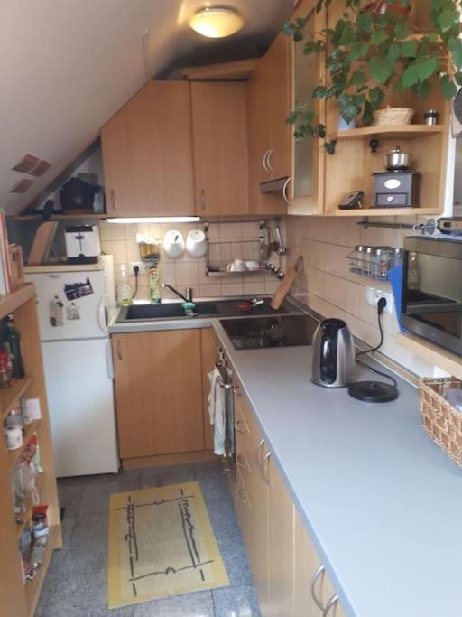 Byt 4+Kk V Klidne Casti Obce Bedrichov Exterior foto